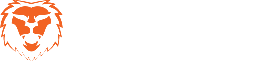 The Levy Firm PLLC